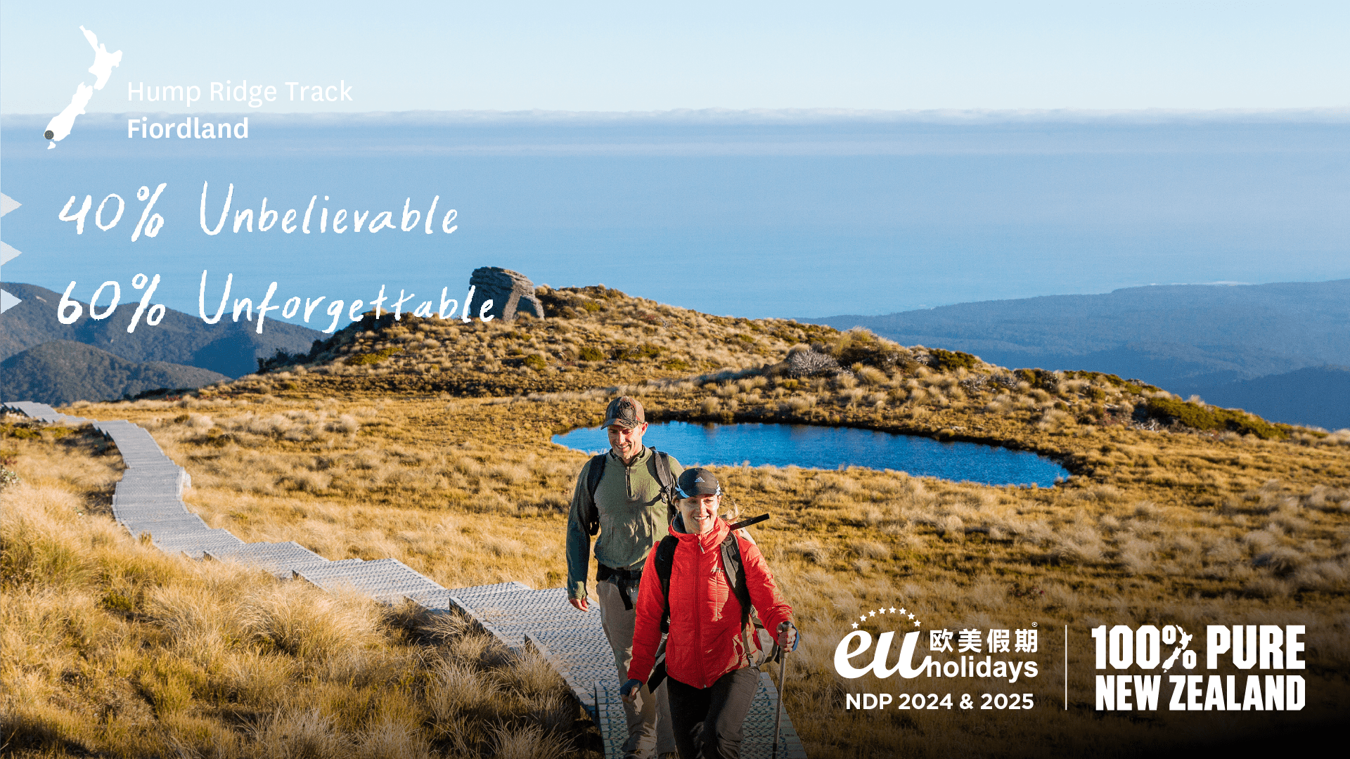 TNZ_Hubspot_Landing_banner-min-1
